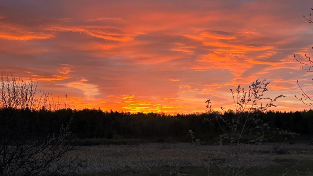 Sunset on the South Village Preserve
