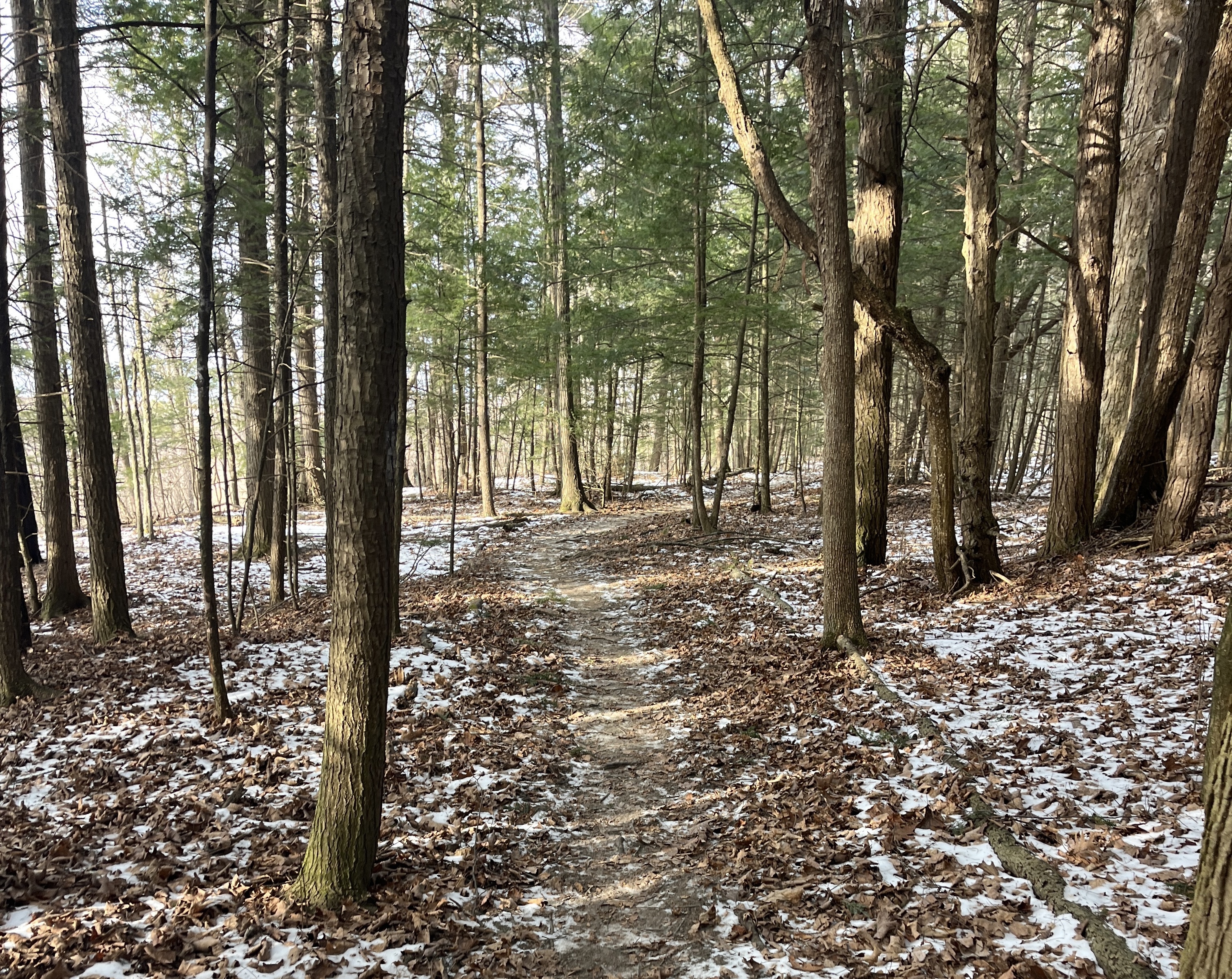 Preserves & Quiet Paths