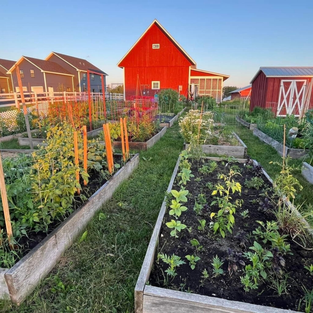 Community Gardens & Programs