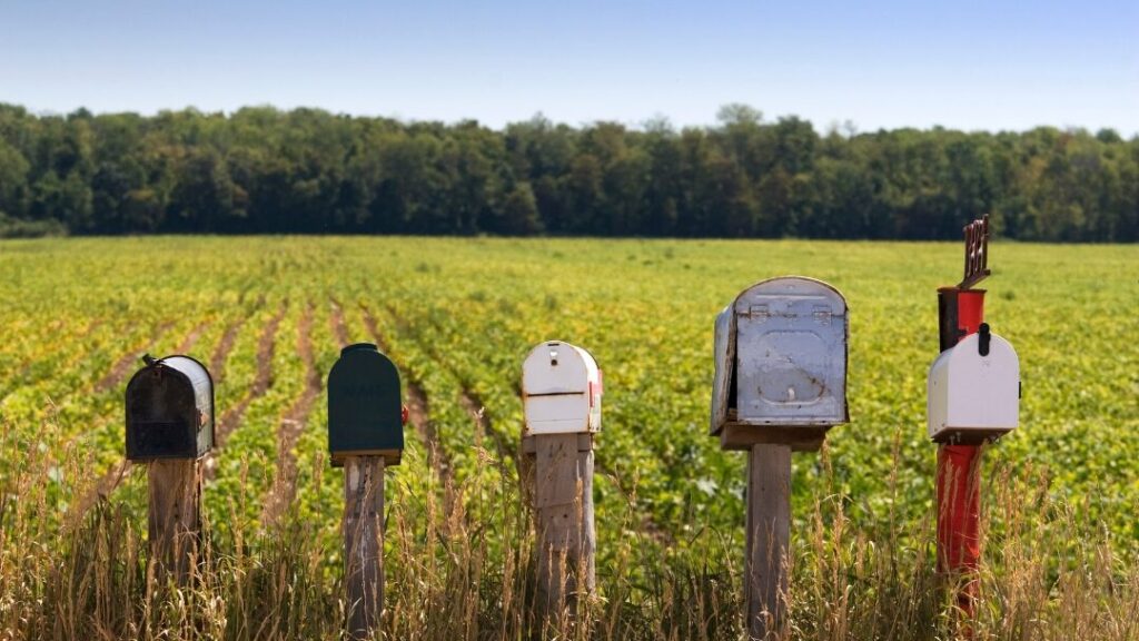 mailboxes in front of tall grass representing an enewsletter archive