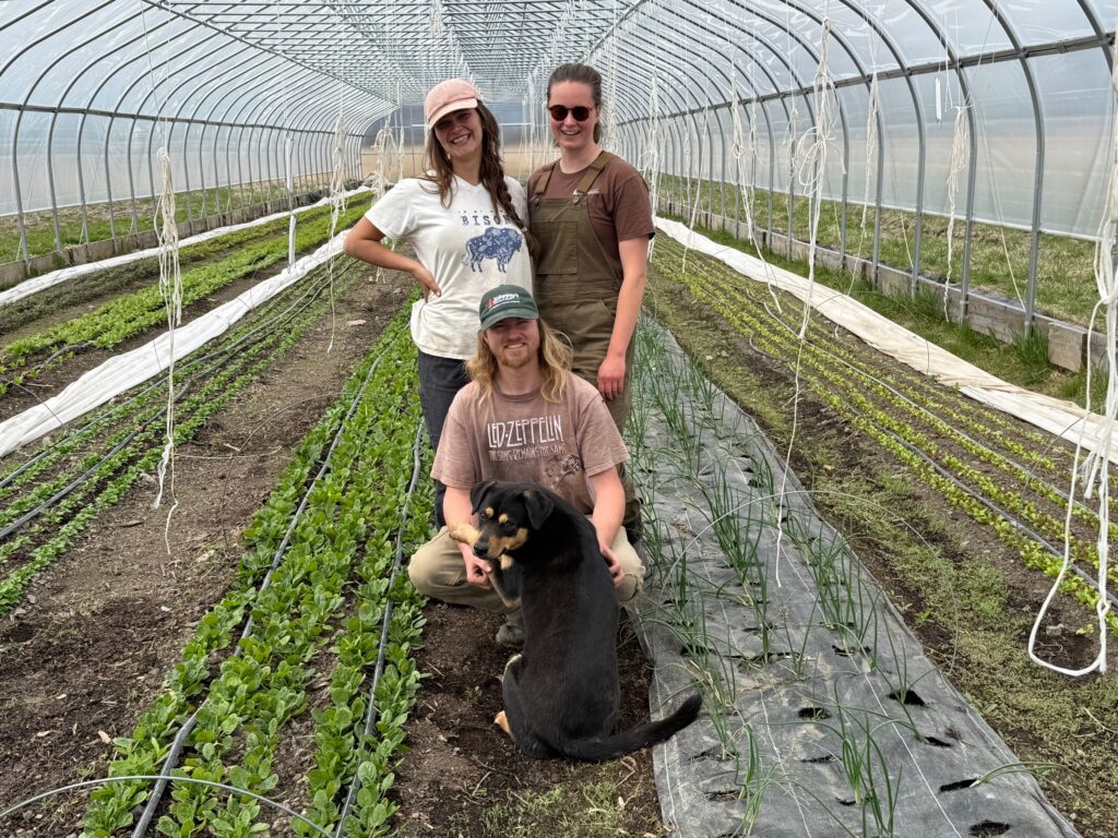 Giannina, Bryn, Colin, and pup Fille of Common Roots